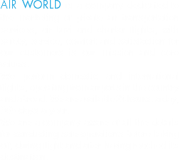 AIR WORLD is a company dedicated to the marketing of private air transportation services, air taxi and charter flights, with safety, service, comfort and satisfaction for our customers is our mission and core values.
We perform domestic and international flights, operating from airports in the country and abroad. We are available 24 hours. a day, 365 days a year.
We are a company aware of all the details for conducting safe operations before taking off, during flight and after having reached its destination. 